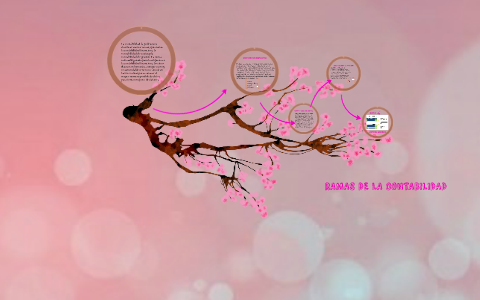 RAMAS DE LA CONTABILIDAD by on Prezi