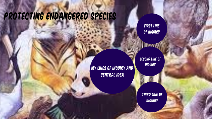 Protecting Endangered species by Karshini P. on Prezi