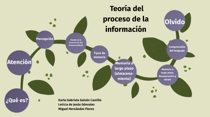 Teoría del procesamiento de la información by leti de jesus on Prezi Next