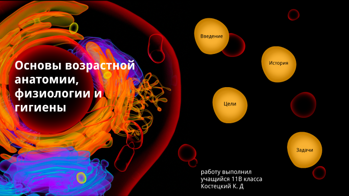 вклад в развитие биологии авиценна