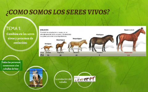 ¿COMO SOMOS LOS SERES VIVOS? by Jonathan Rincon Hernandez on Prezi