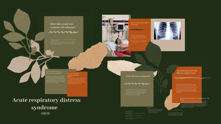 Acute respiratory distress syndrome by Kristine Dominguez Pena on Prezi