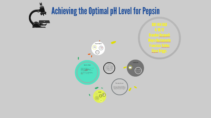 Achieving the Optimal pH Level for Pepsin by mayra bustamante on Prezi