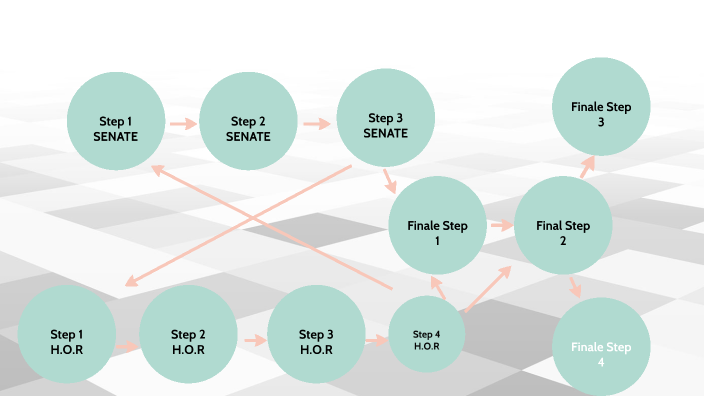 Legislative Flow Chart by Milen Abraham on Prezi