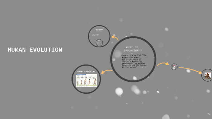 HUMAN EVOLUTION by steven keshishian on Prezi