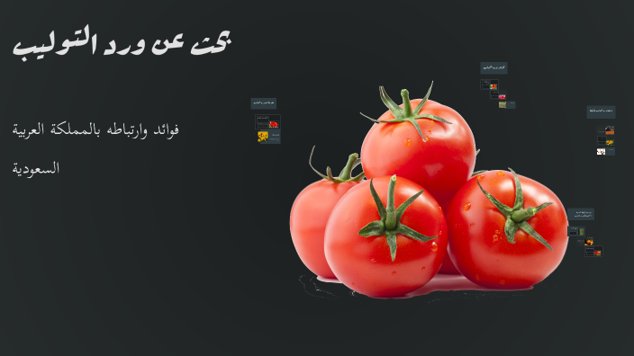 بحث عن ورد التوليب by Shahad Al Ajmi on Prezi