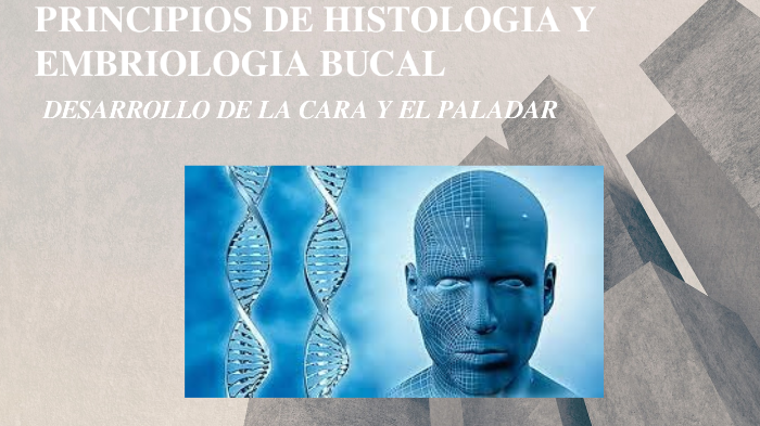 Principios De Histologia Y Embriologia Bucal By Leticia Carmona
