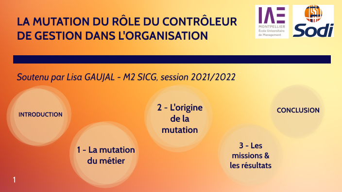 Soutenance Memoire - Le Nouveau RÔle Des ContrÔleurs De Gestion By Lisa 