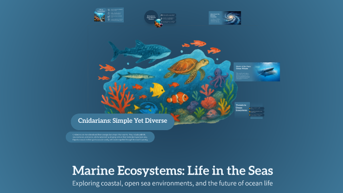 Marine Ecosystems: Life in the Seas by Judit Németh on Prezi