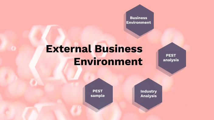 External Business Environment by Kurt Dean Teraza on Prezi