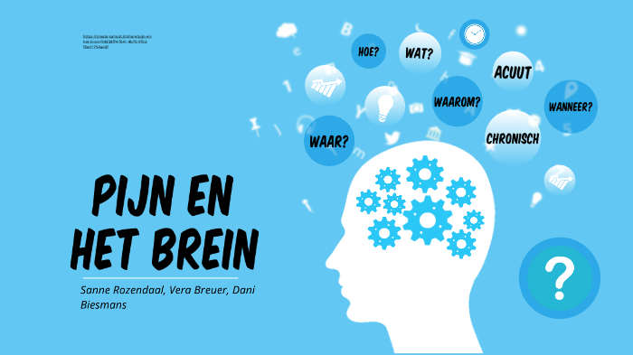 PIJN EN HET BREIN by Dani Biesmans on Prezi