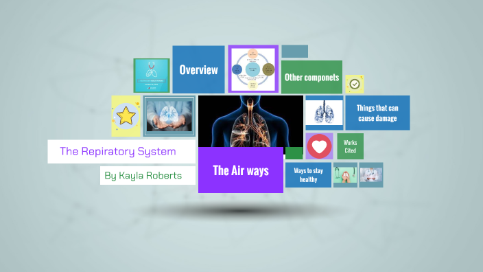 The Respiratory system by Kayla Roberts on Prezi