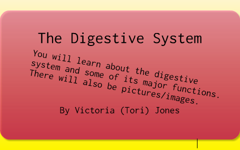 The Digestive System by Tori Jones on Prezi