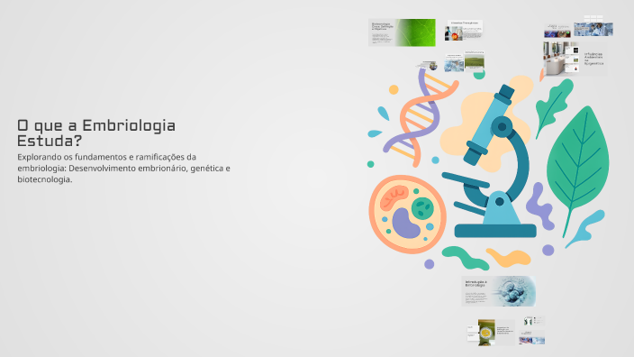 O que a Embriologia Estuda? by vitoria dos anjos on Prezi