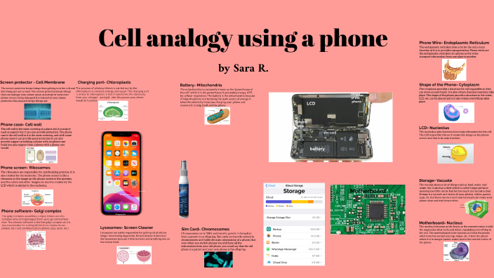 Cell Analogy By Sara Robles Londono 8450