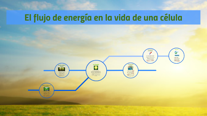 El flujo de energía en la vida de una célula by mario ordoñez on Prezi