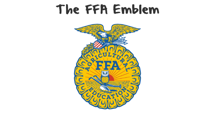 the-ffa-emblem-by-justin-o-rear