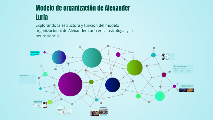 Modelo de organización de Alexander Luria by Michael Martinez on Prezi
