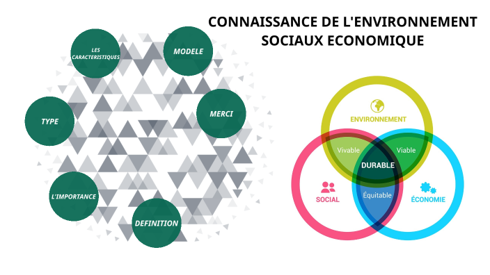 connaissance de l'environnement sociaux économique by Iheb Dghidegh on
