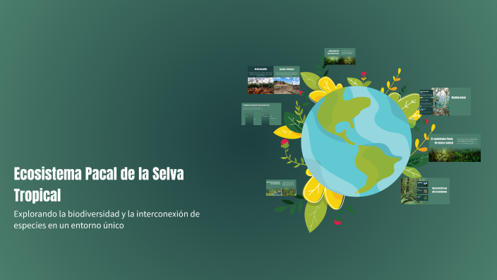 Ecosistema Pacal de la Selva Tropical by luana fernández on Prezi