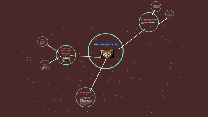How To Save Red Pandas By Heidi Jenkins
