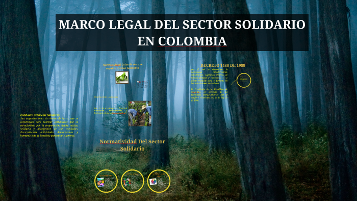 Marco Legal Del Sector Solidario En Colombia by Alexandra Pulido Cortes ...