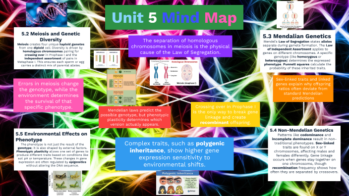 Unit 5 Mind Map VICTOR ARAMBULA by victor arambula on Prezi