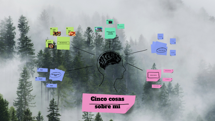 Camila primero by L PK on Prezi