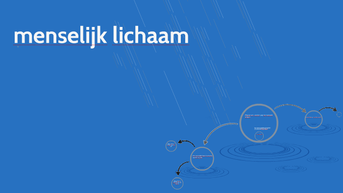 Het menselijk lichaam by L07837 on Prezi