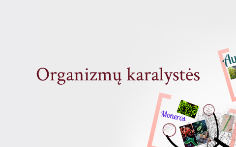 Organizmu Karalystes By Paulius Sugintas