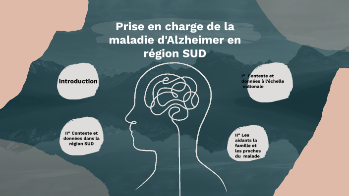 Prise en charge de la maladie d'Alzheimer en région SUD by sofia ...