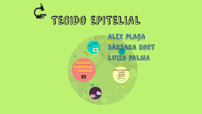 TECIDO EPITELIAL by Bárbara Rost Miranda on Prezi
