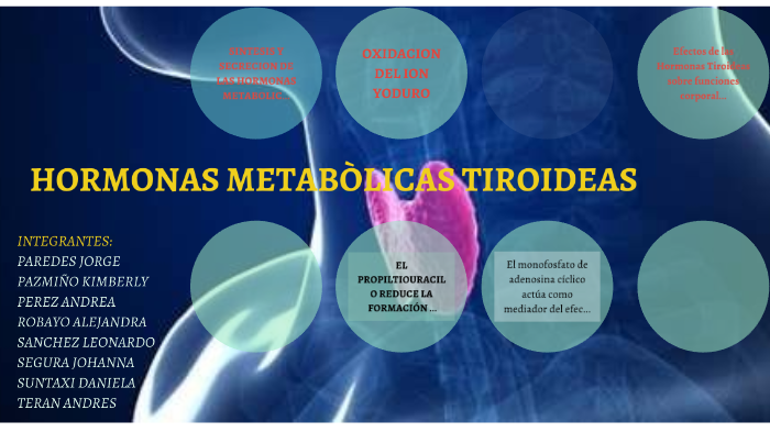 Hormonas MetabÒlicas Tiroideas By Kimberly Pazmiño On Prezi