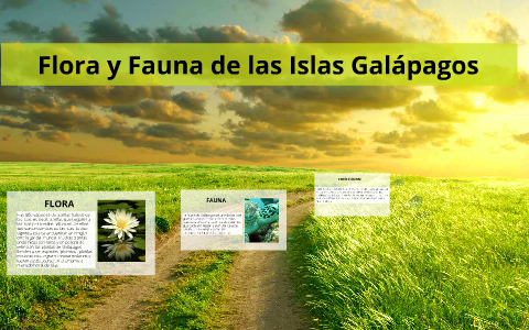 FLORA Y FAUNA DE LAS ISLAS GALAPGOS by Dome Arguello on Prezi Next