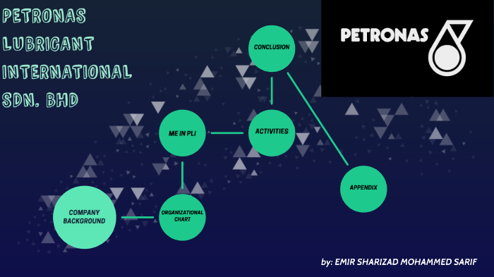 Petronas Organization Chart