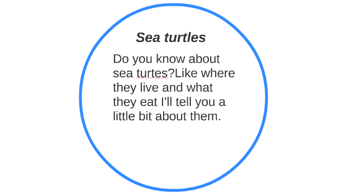 Sea turtles by brandon kim on Prezi