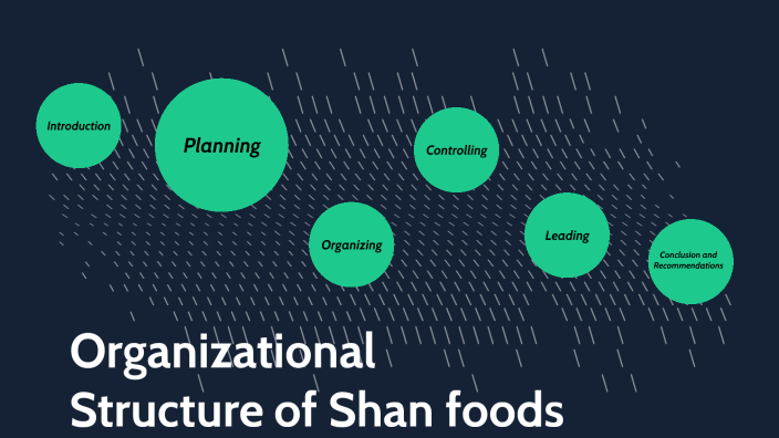 Organizational Structure of Shan foods by Mashaal Shahnawaz on Prezi