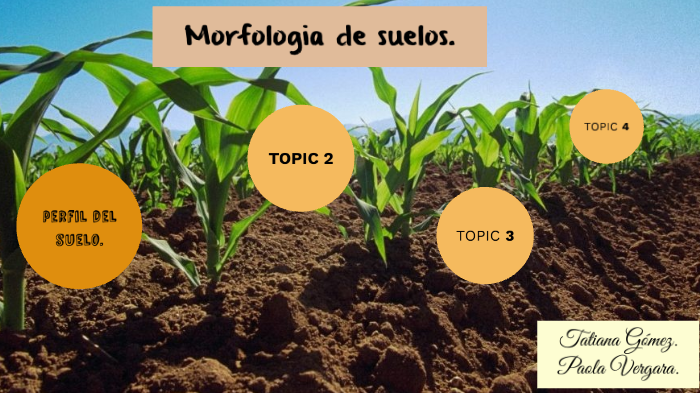 MORFOLOGIA DE SUELOS. By Tatiana Gomez On Prezi