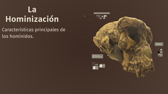 La Hominización by Jessy Lainez on Prezi