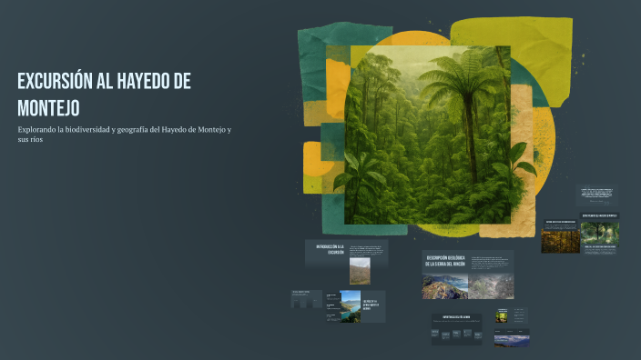 Excursión al Hayedo de Montejo by tula0577 on Prezi
