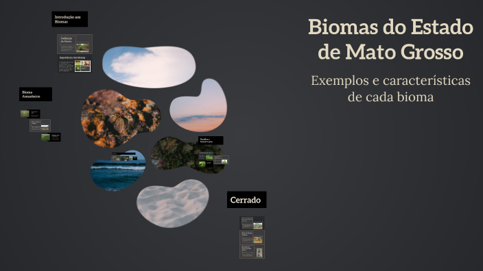 Biomas do Estado de Mato Grosso by JESSICA SOUZA ALMEIDA on Prezi