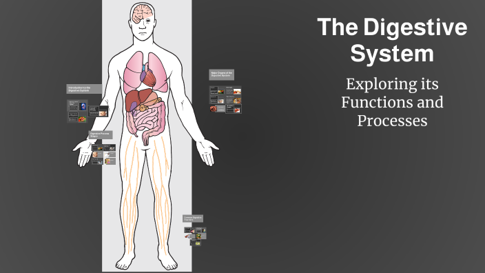 The Digestive System by sienna jackson on Prezi