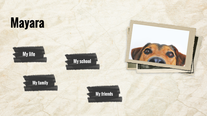 Mayara by Hevelyn Mayara on Prezi