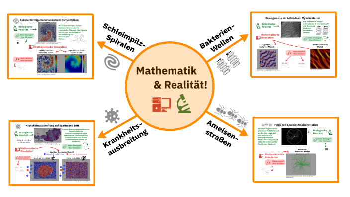 Wie entsteht kollektives Verhalten by Angelika Manhart on Prezi