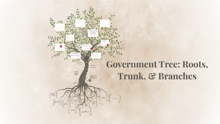 Local Government Tree Government Trees by teresa Pimentel on Prezi