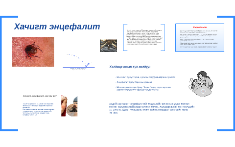 Хачигт энцефалит гэж юу вэ? by Батсайхан Мөнхжаргал on Prezi