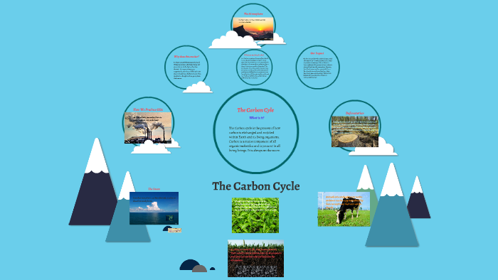 Carbon Cycle by Julio Lopez on Prezi