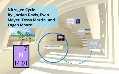 The Nitrogen Cycle by jordan davis on Prezi