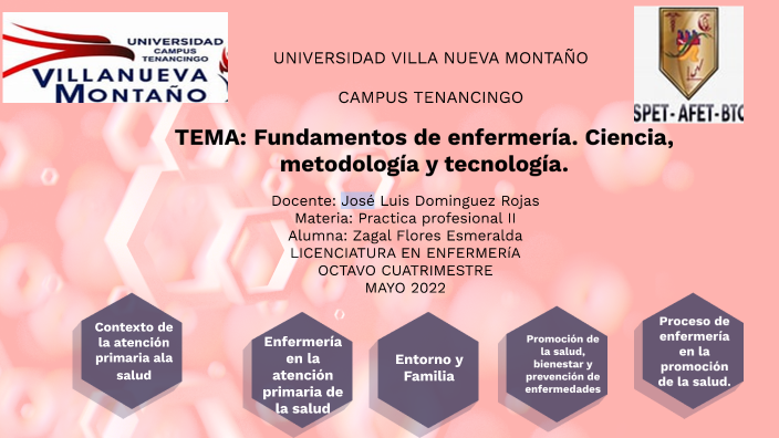 FUNDAMENTOS EN ENFERMERIA :CIENCIA ,METODOLOGIA , TEGNOLOGIA . by
