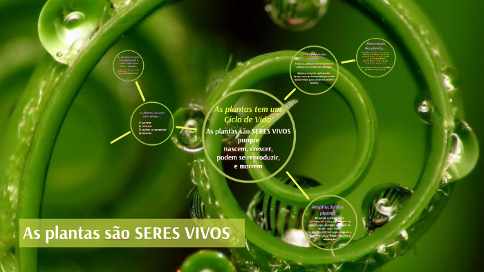 As plantas são SERES VIVOS by JOSE GODOY on Prezi